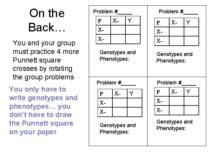 On the Back… You and your group must practice 4 more Punnett square crosses