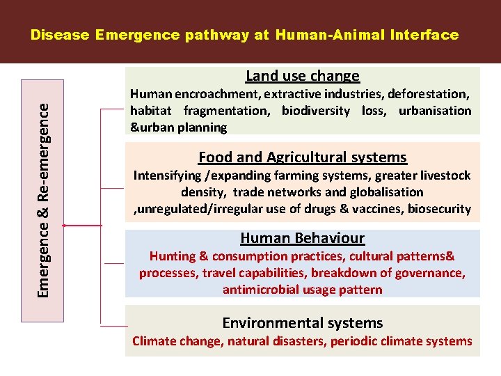 Disease Emergence pathway at Human-Animal Interface Emergence & Re-emergence Land use change Human encroachment,