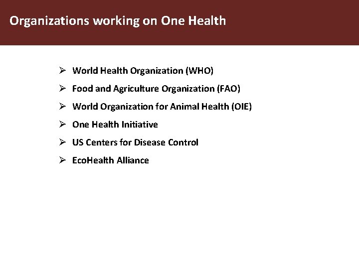 Organizations working on One Health Ø World Health Organization (WHO) Ø Food and Agriculture