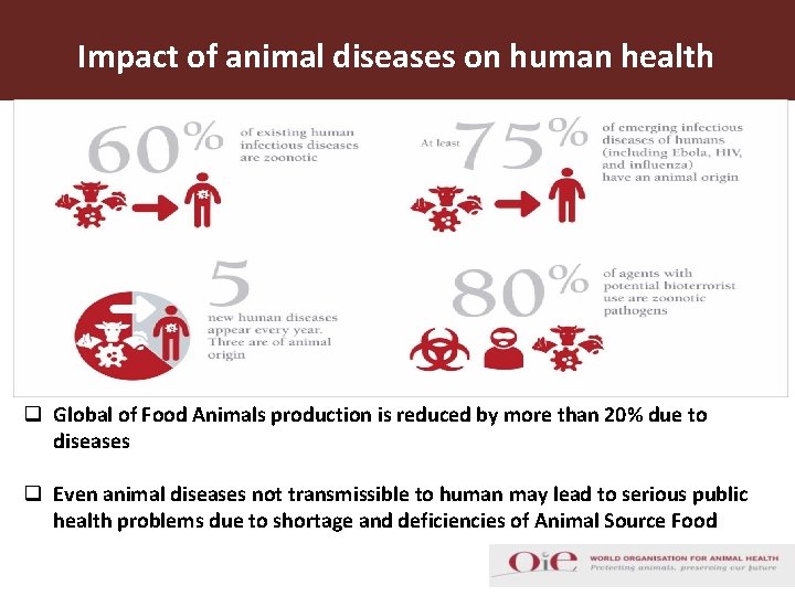 Impact of animal diseases on human health q Global of Food Animals production is