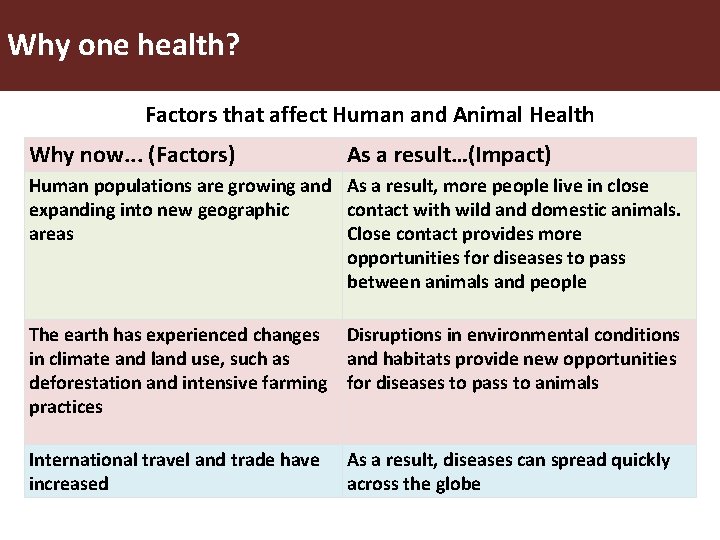 Why one health? Factors that affect Human and Animal Health Why now. . .