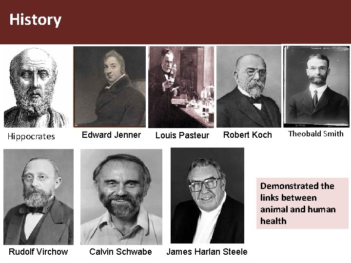 History Hippocrates Edward Jenner Louis Pasteur Robert Koch Theobald Smith Demonstrated the links between
