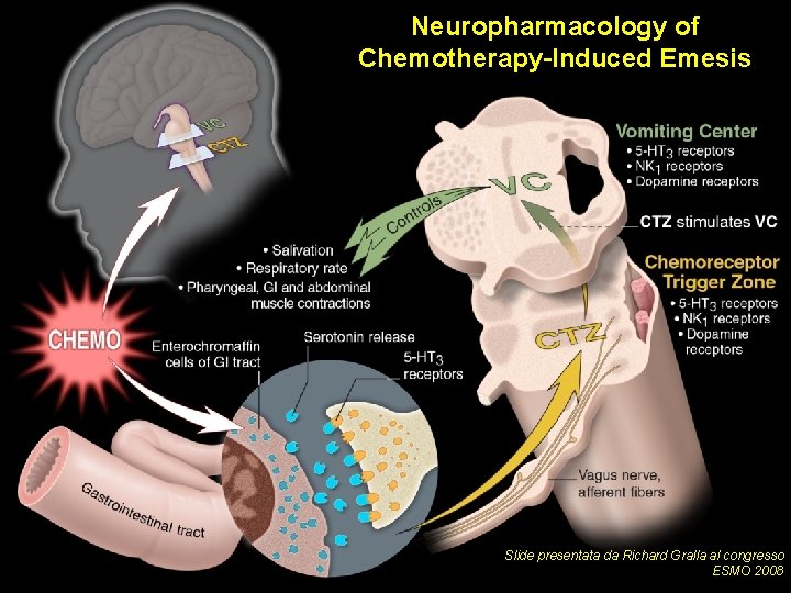 Neuropharmacology of Chemotherapy-Induced Emesis Slide presentata da Richard Gralla al congresso ESMO 2008 