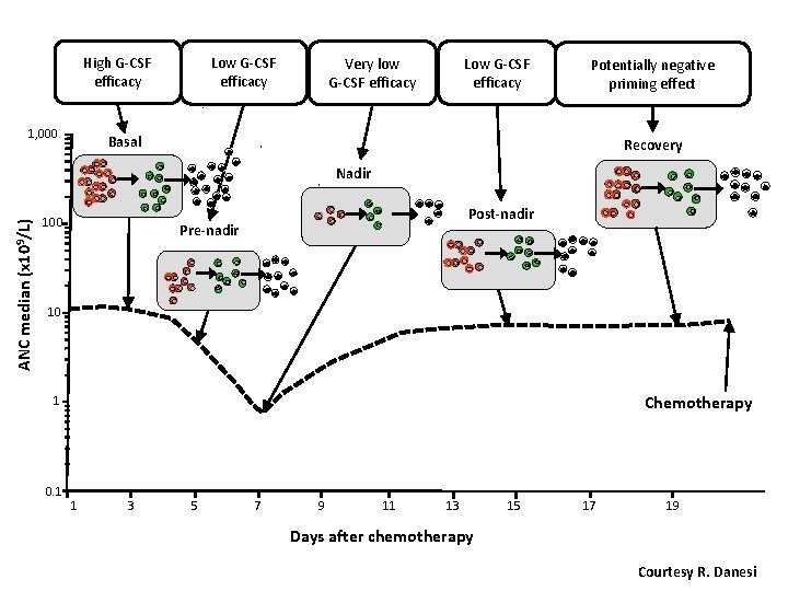 High G-CSF efficacy 1, 000 Low G-CSF efficacy Very low G-CSF efficacy Potentially negative