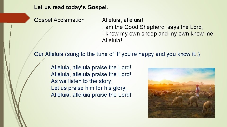 Let us read today’s Gospel Acclamation Alleluia, alleluia! I am the Good Shepherd, says