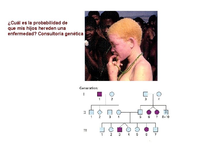 ¿Cuál es la probabilidad de que mis hijos hereden una enfermedad? Consultoría genética 