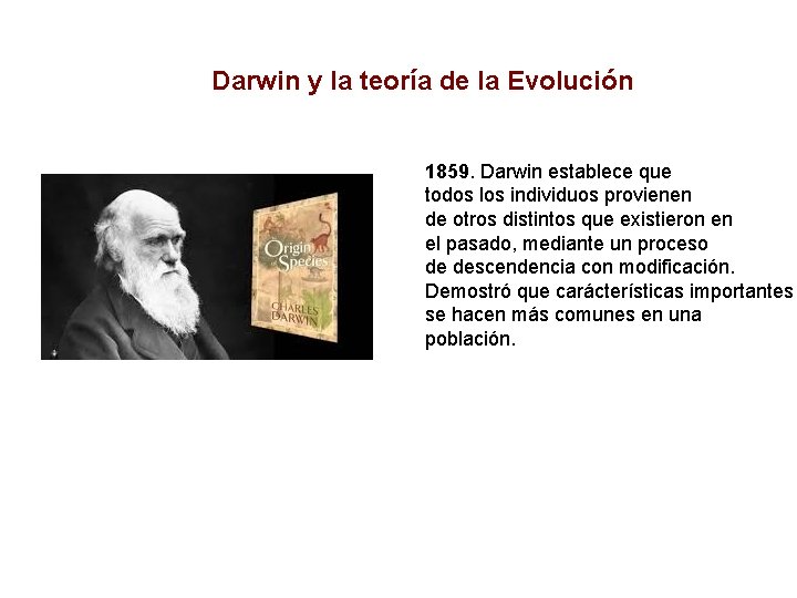 Darwin y la teoría de la Evolución 1859. Darwin establece que todos los individuos