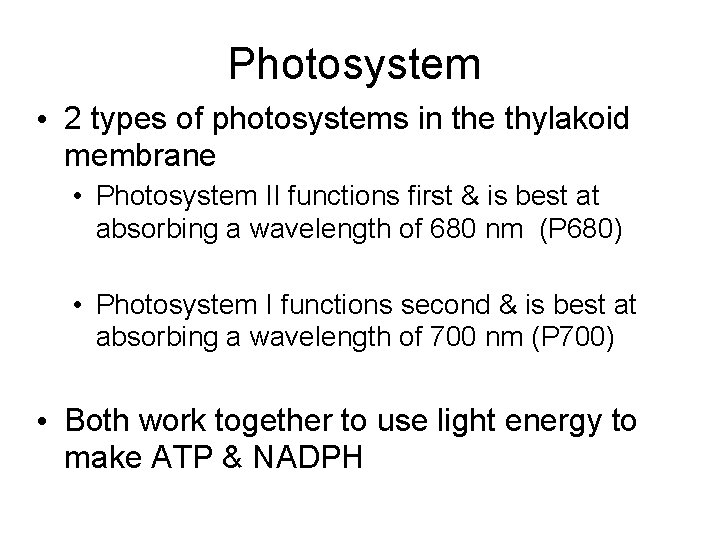 Photosystem • 2 types of photosystems in the thylakoid membrane • Photosystem II functions