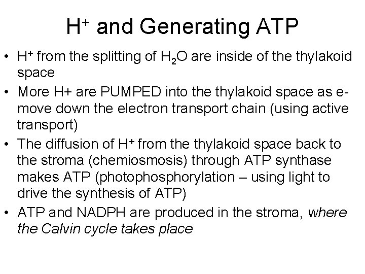 H+ and Generating ATP • H+ from the splitting of H 2 O are