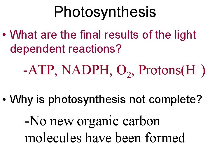 Photosynthesis • What are the final results of the light dependent reactions? -ATP, NADPH,