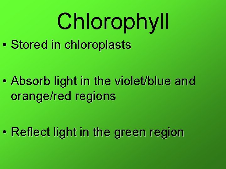 Chlorophyll • Stored in chloroplasts • Absorb light in the violet/blue and orange/red regions