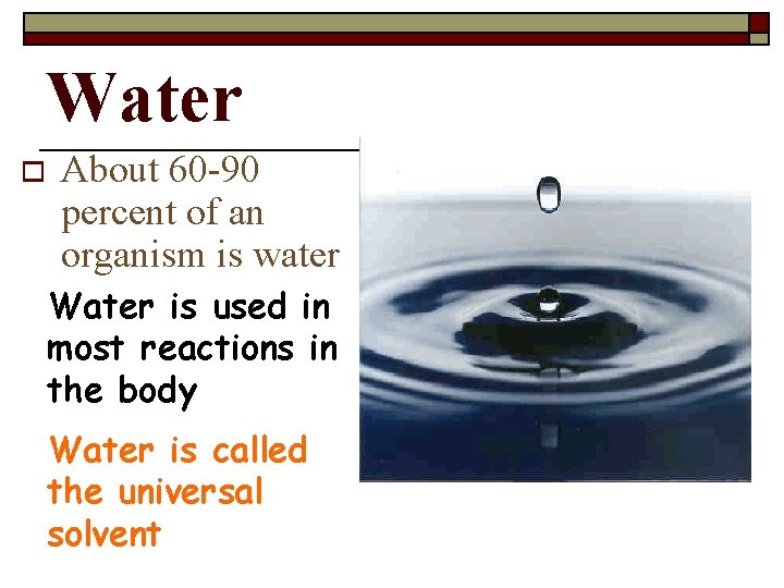 Water o About 60 -90 percent of an organism is water Water is used