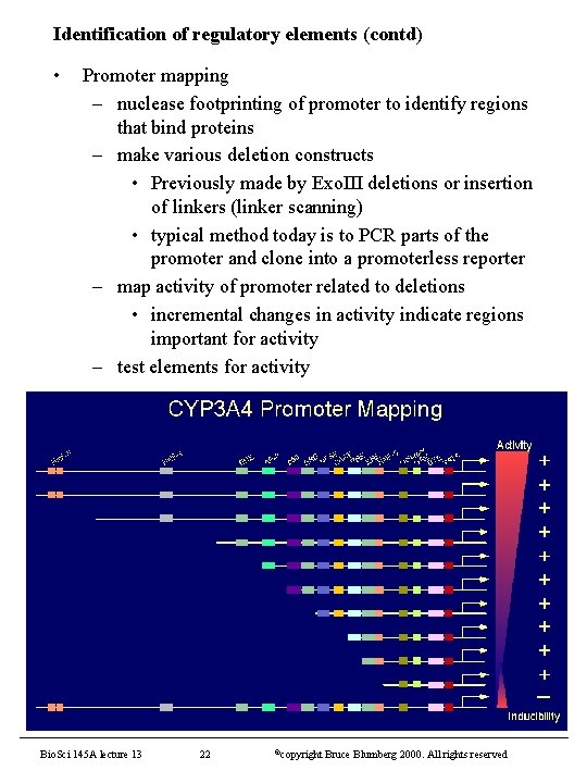 Identification of regulatory elements (contd) • Promoter mapping – nuclease footprinting of promoter to