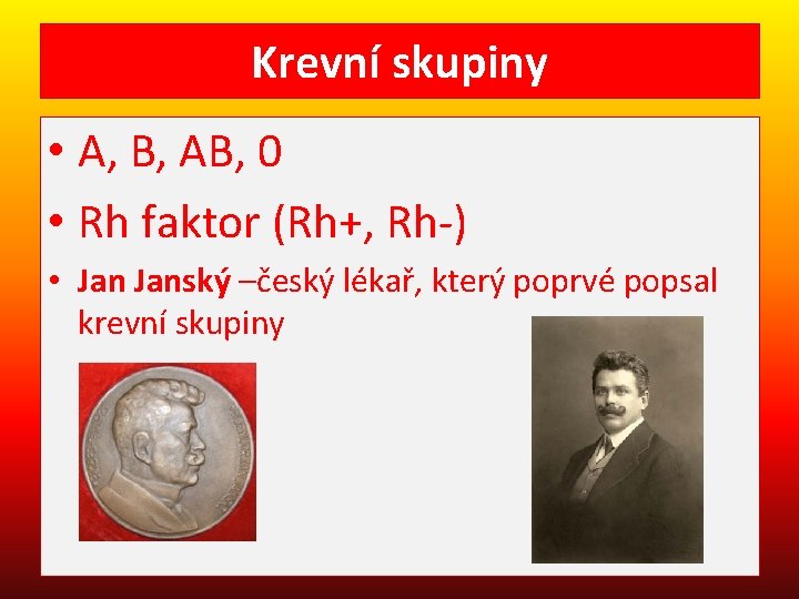 Krevní skupiny • A, B, AB, 0 • Rh faktor (Rh+, Rh-) • Janský