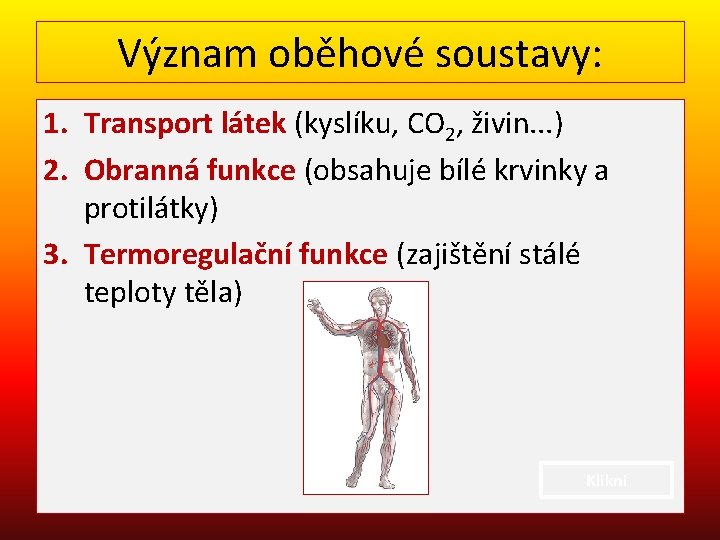 Význam oběhové soustavy: 1. Transport látek (kyslíku, CO 2, živin. . . ) 2.