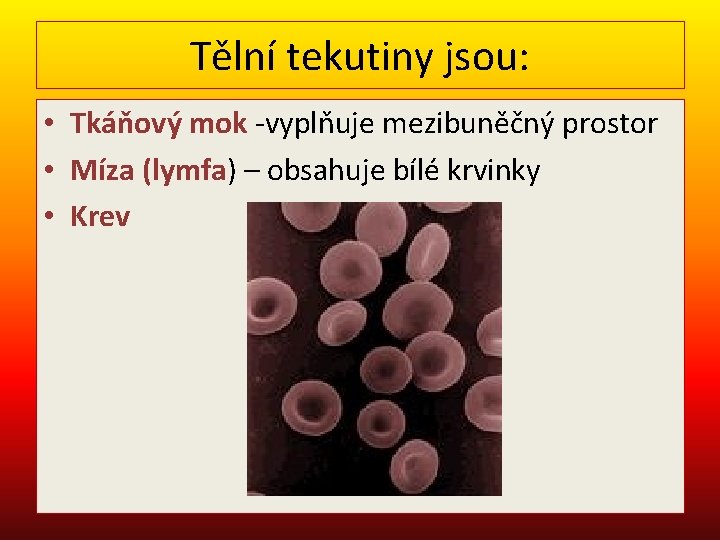 Tělní tekutiny jsou: • Tkáňový mok -vyplňuje mezibuněčný prostor • Míza (lymfa) – obsahuje