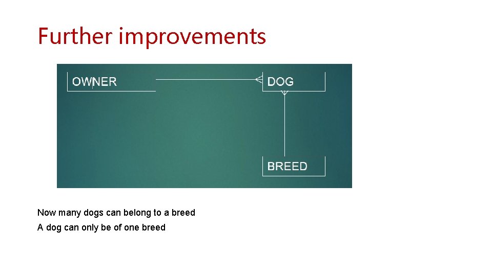 Further improvements Now many dogs can belong to a breed A dog can only