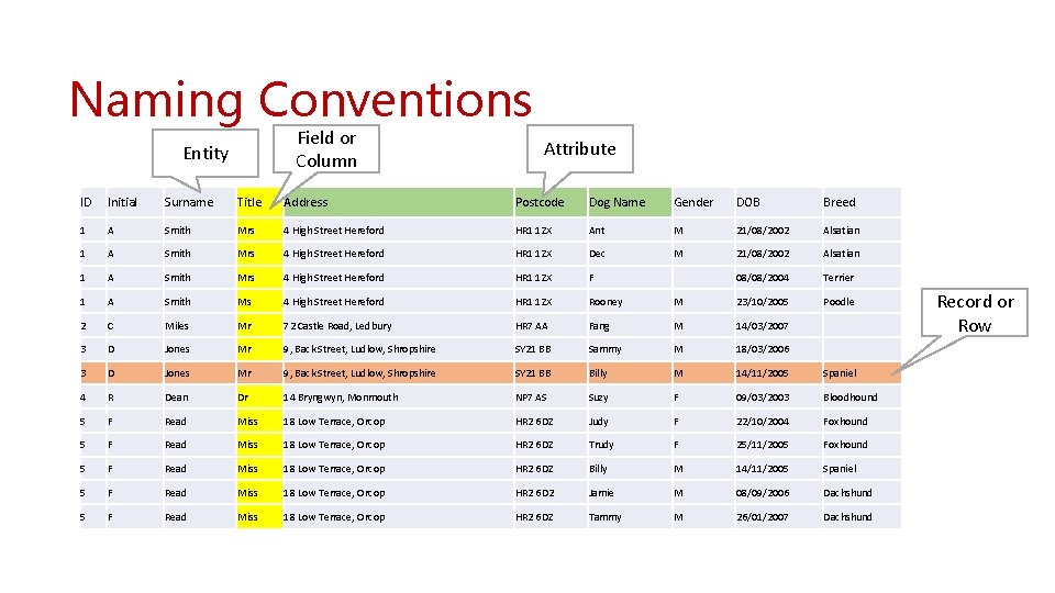 Naming Conventions Field or Column Entity Attribute ID Initial Surname Title Address Postcode Dog