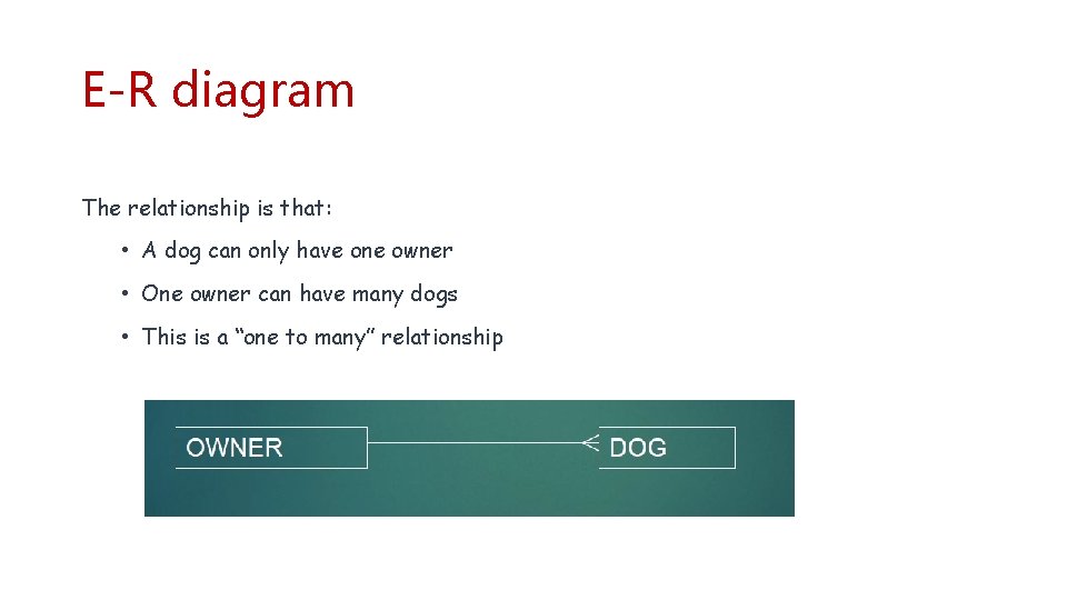 E-R diagram The relationship is that: • A dog can only have one owner