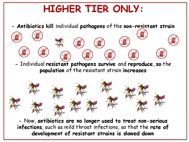 HIGHER TIER ONLY: - Antibiotics kill individual pathogens of the non-resistant strain - Individual