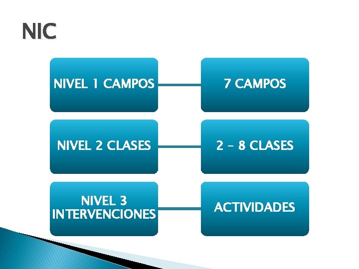 NIC NIVEL 1 CAMPOS 7 CAMPOS NIVEL 2 CLASES 2 – 8 CLASES NIVEL