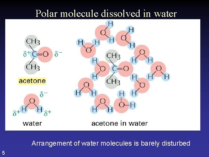 Polar molecule dissolved in water Arrangement of water molecules is barely disturbed 5 