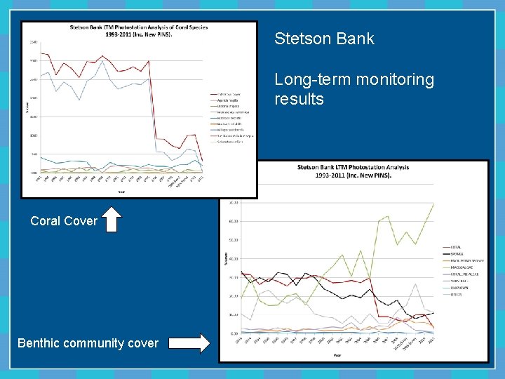 Stetson Bank Long-term monitoring results Coral Cover Benthic community cover 