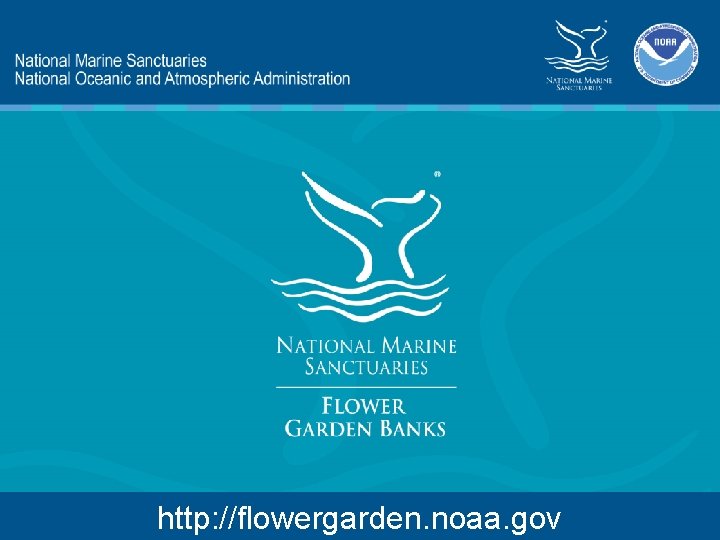 http: //flowergarden. noaa. gov 