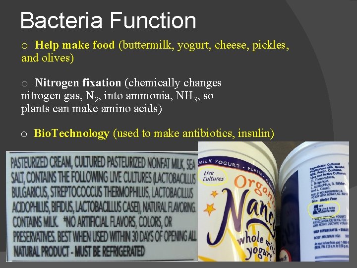 Bacteria Function o Help make food (buttermilk, yogurt, cheese, pickles, and olives) o Nitrogen