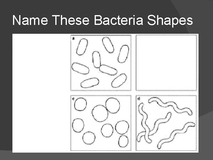 Name These Bacteria Shapes 