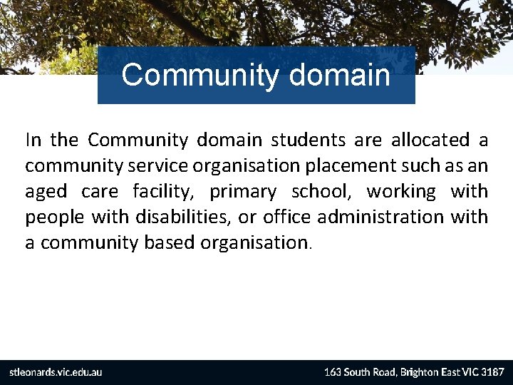 Community domain In the Community domain students are allocated a community service organisation placement