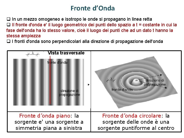 Fronte d’Onda q In un mezzo omogeneo e isotropo le onde si propagano in