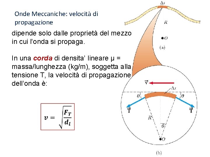 Onde Meccaniche: velocità di propagazione dipende solo dalle proprietà del mezzo in cui l’onda