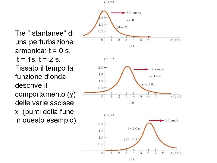 Tre “istantanee” di una perturbazione armonica: t = 0 s, t = 1 s,