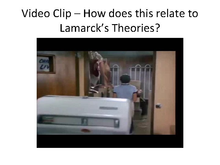 Video Clip – How does this relate to Lamarck’s Theories? 