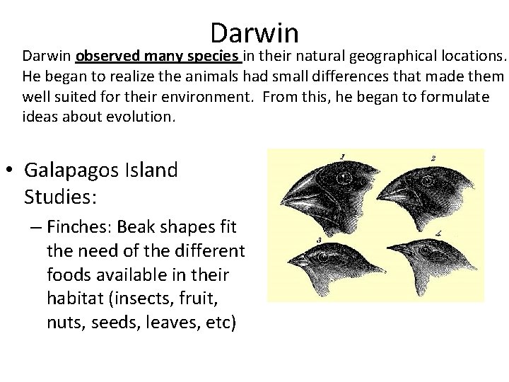 Darwin observed many species in their natural geographical locations. He began to realize the