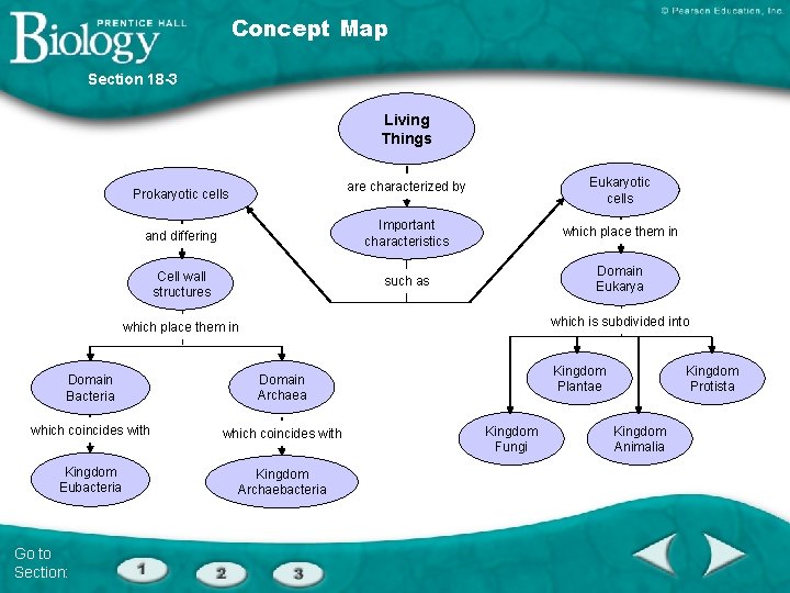 Concept Map Section 18 -3 Living Things are characterized by Eukaryotic cells and differing