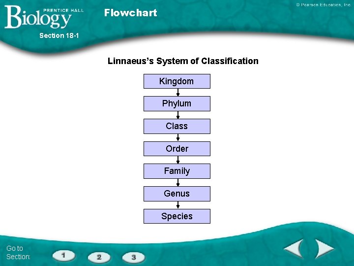 Flowchart Section 18 -1 Linnaeus’s System of Classification Kingdom Phylum Class Order Family Genus