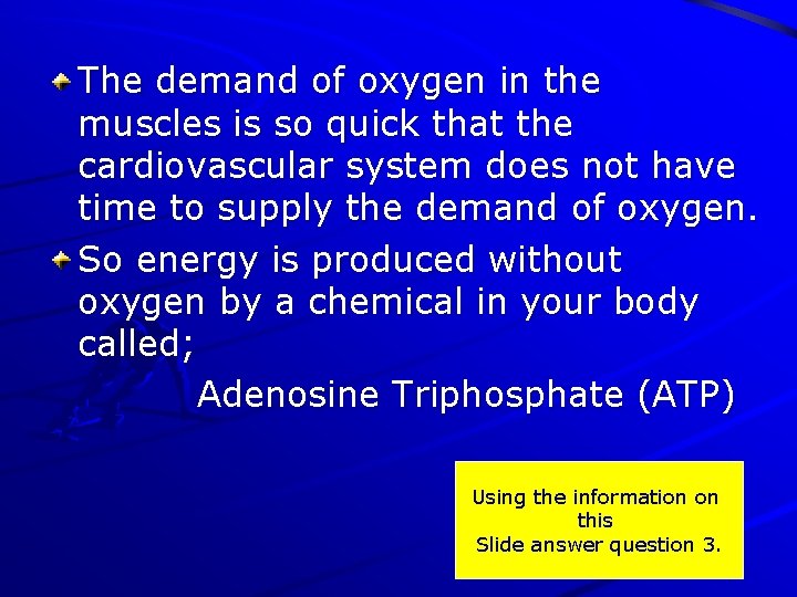 The demand of oxygen in the muscles is so quick that the cardiovascular system