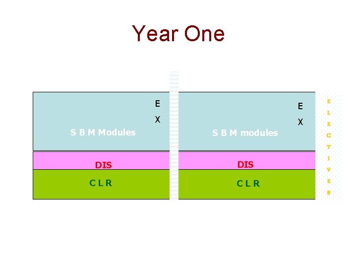 Year One E E X X S B M Modules S B M modules