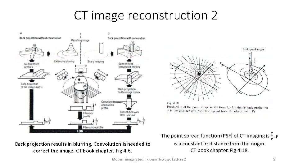 CT image reconstruction 2 Back projection results in blurring. Convolution is needed to correct CT image reconstruction 2 Back projection results in blurring. Convolution is needed to correct