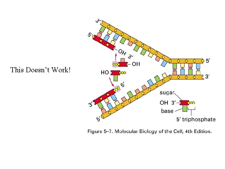 This Doesn’t Work! 