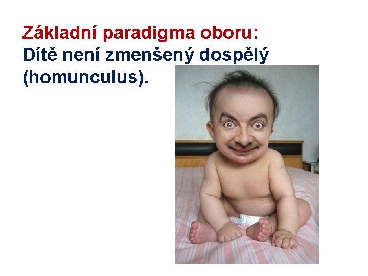 Základní paradigma oboru: Dítě není zmenšený dospělý (homunculus). 