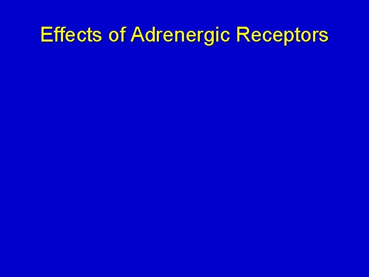 Effects of Adrenergic Receptors 