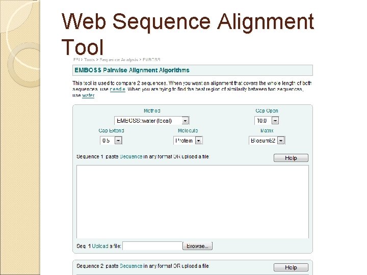 Web Sequence Alignment Tool 