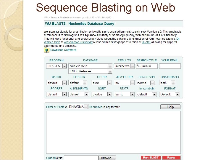 Sequence Blasting on Web 