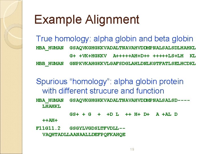 Example Alignment True homology: alpha globin and beta globin HBA_HUMAN GSAQVKGHGKKVADALTNAVAHVDDMPNALSALSDLHAHKL G+ +VK+HGKKV HBB_HUMAN