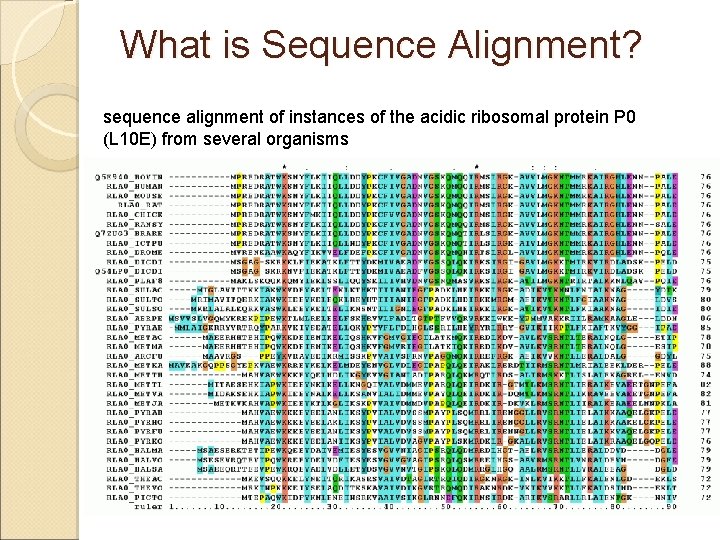 What is Sequence Alignment? sequence alignment of instances of the acidic ribosomal protein P