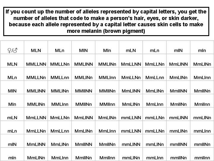 If you count up the number of alleles represented by capital letters, you get