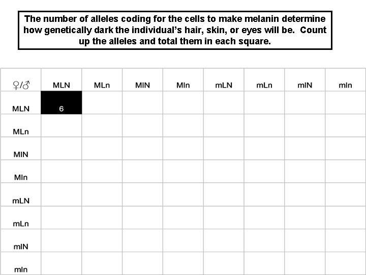 The number of alleles coding for the cells to make melanin determine how genetically